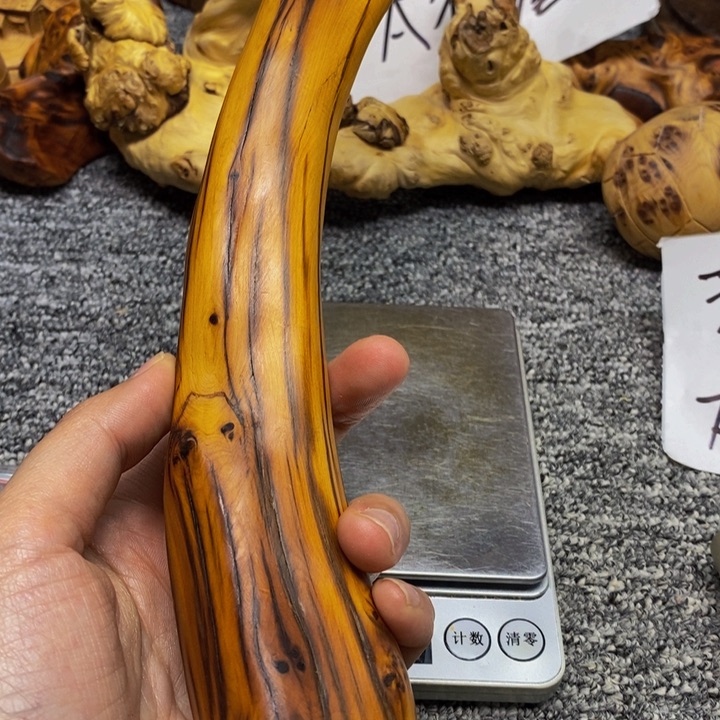 柏木（崖柏）崖柏70