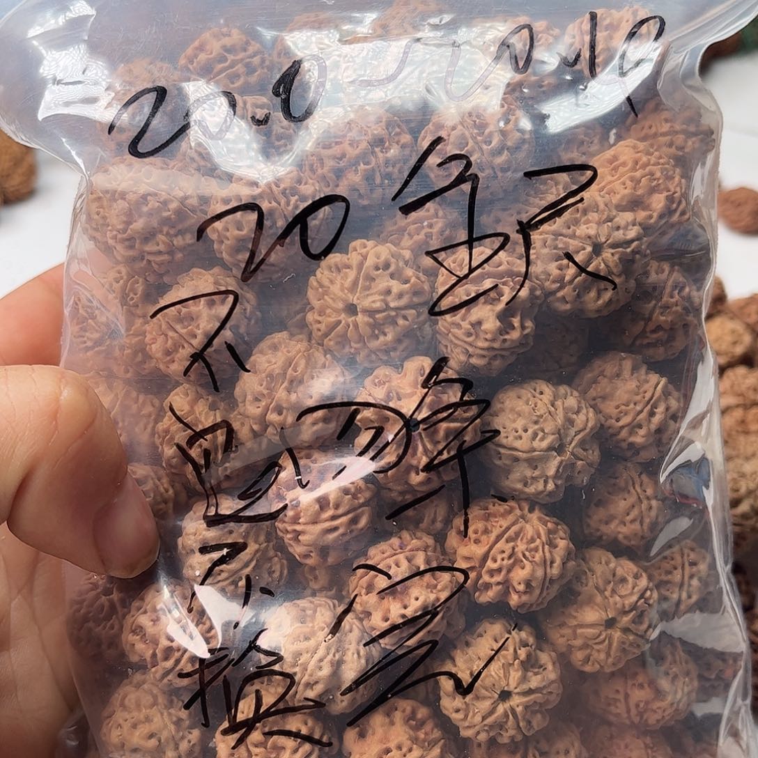 手串金刚菩提20散籽不退不换