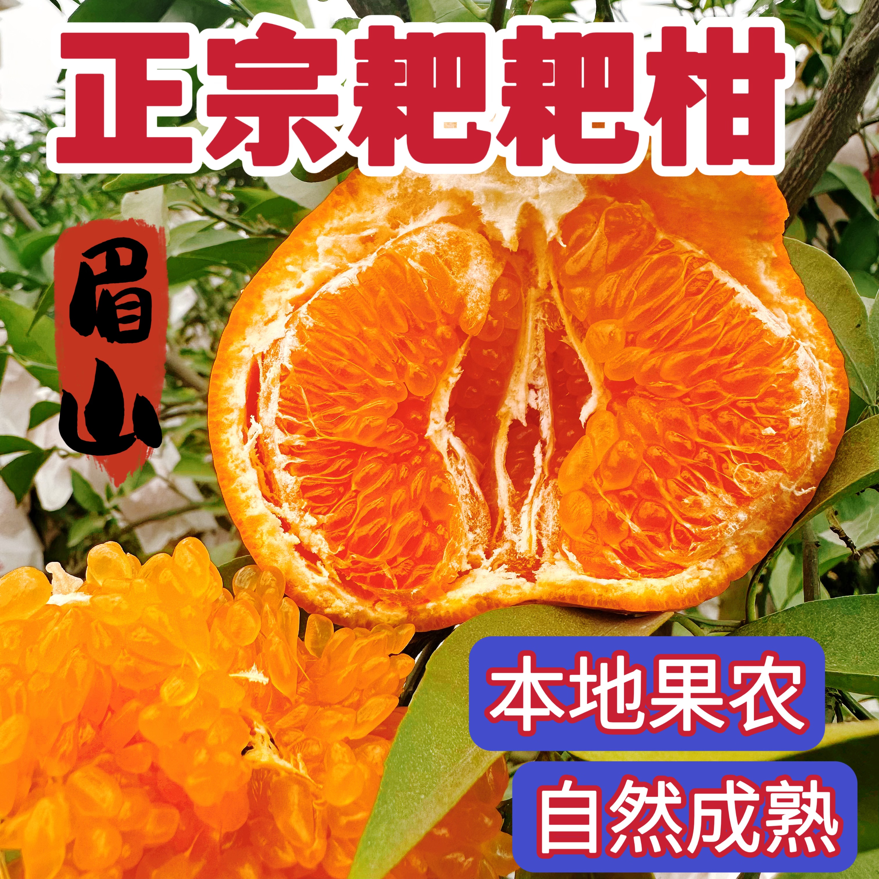 【顺丰快递】四川耙耙柑正宗春见粑粑柑新鲜现摘水果橘橙子香甜多汁