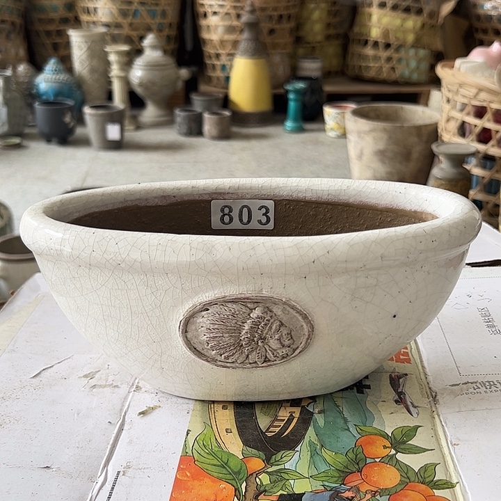 乐享园艺803孤品1111