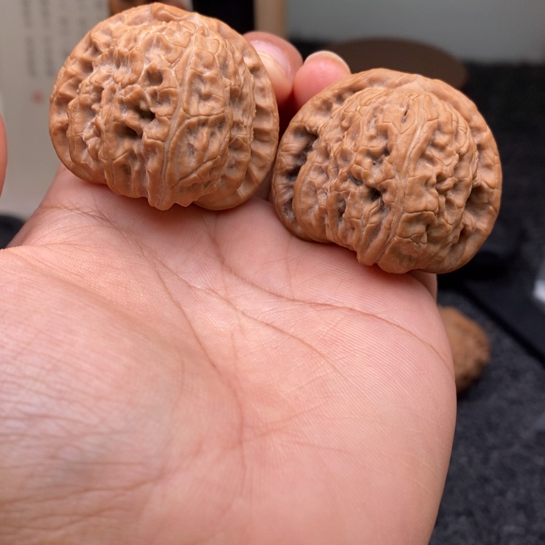 文玩核桃把件40白狮子