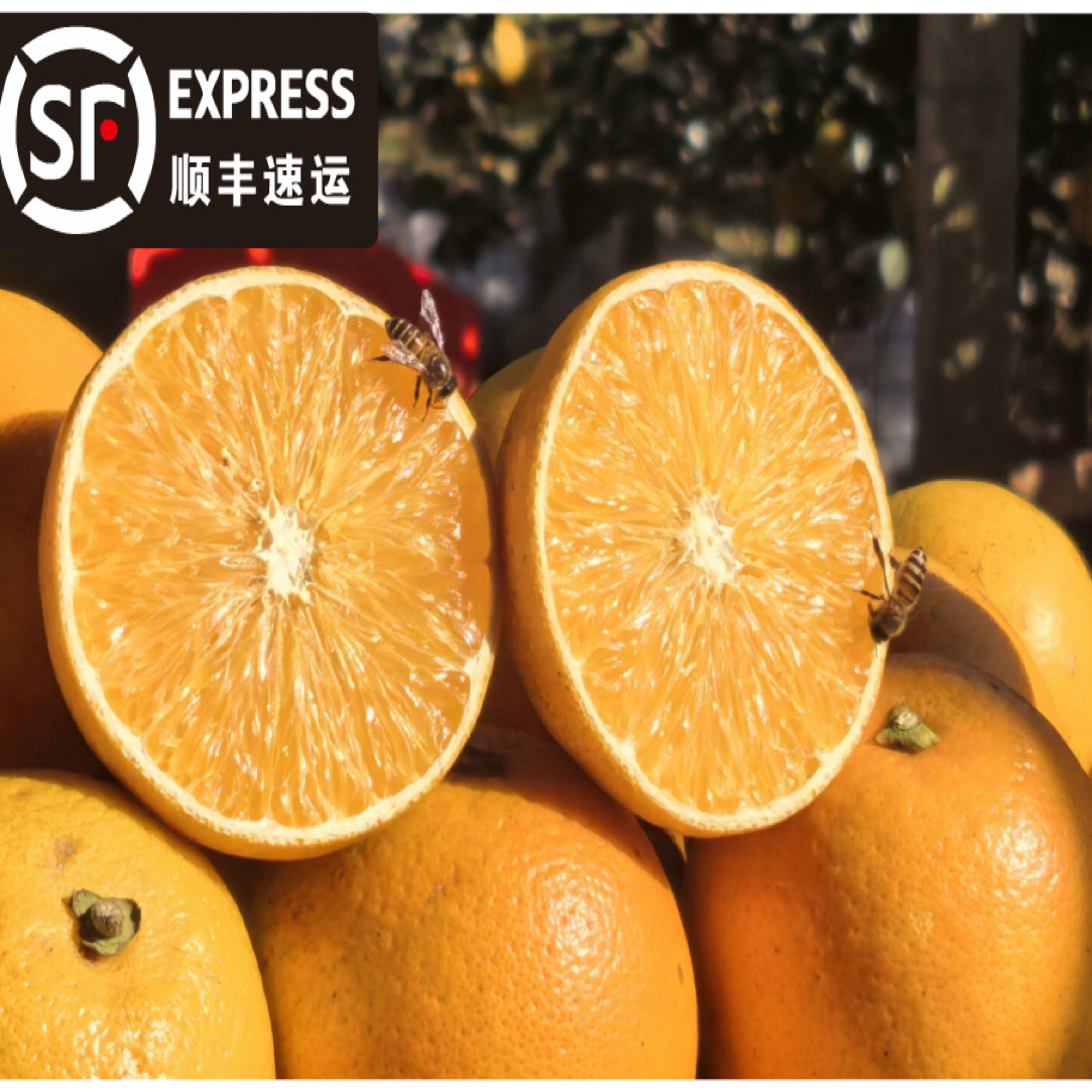 顺丰包邮正宗永兴冰糖橙涌水灌核心产区新鲜现摘现发