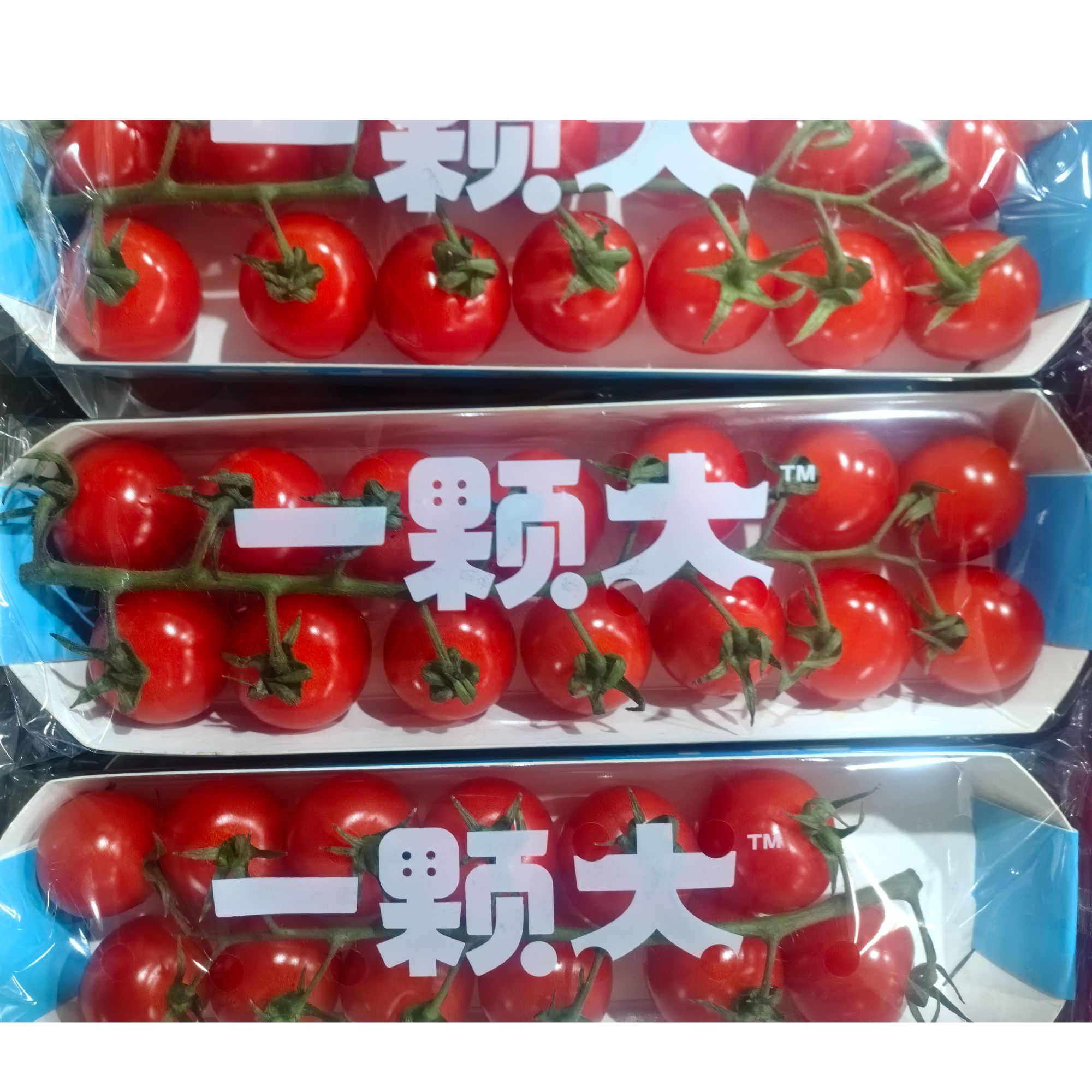 《鲜果生鲜》串红小番茄 3盒装 