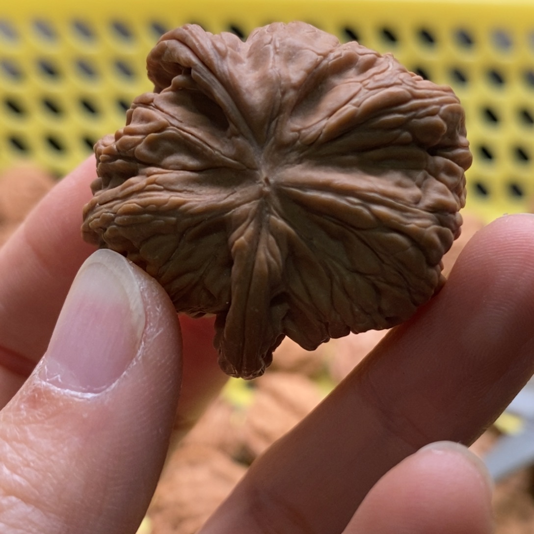 n***吧核桃定制商品不退不换