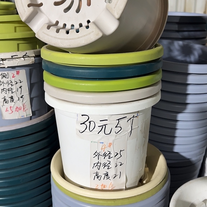 四季4#口径25灰白8个无托
