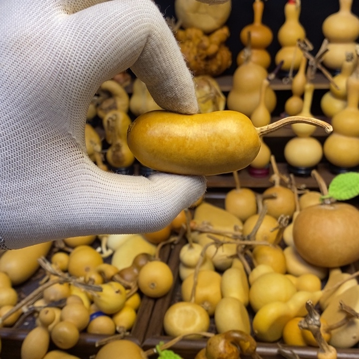 一物一拍偏远地区不包邮