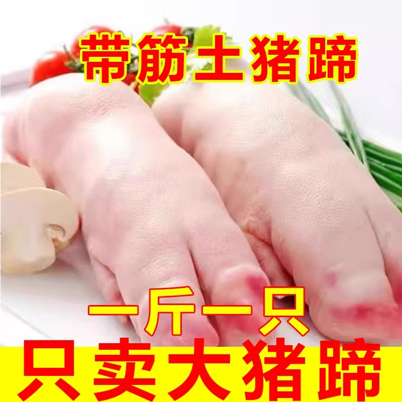 新鲜猪蹄冷冻猪脚猪前蹄香猪蹄猪爪子短猪蹄带筋猪蹄猪蹄生鲜批发
