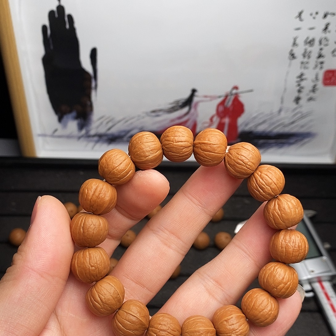 15同尺寸南瓜福利款