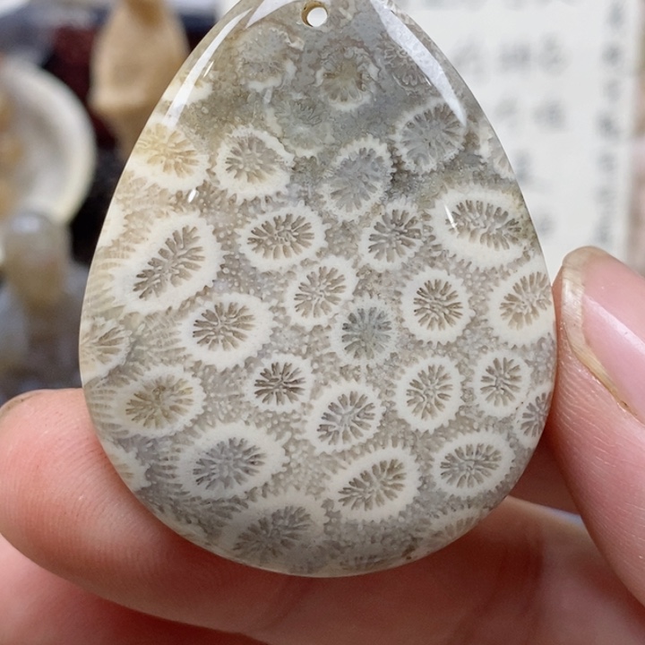 硅化珊瑚（珊瑚玉）未镶嵌颈饰