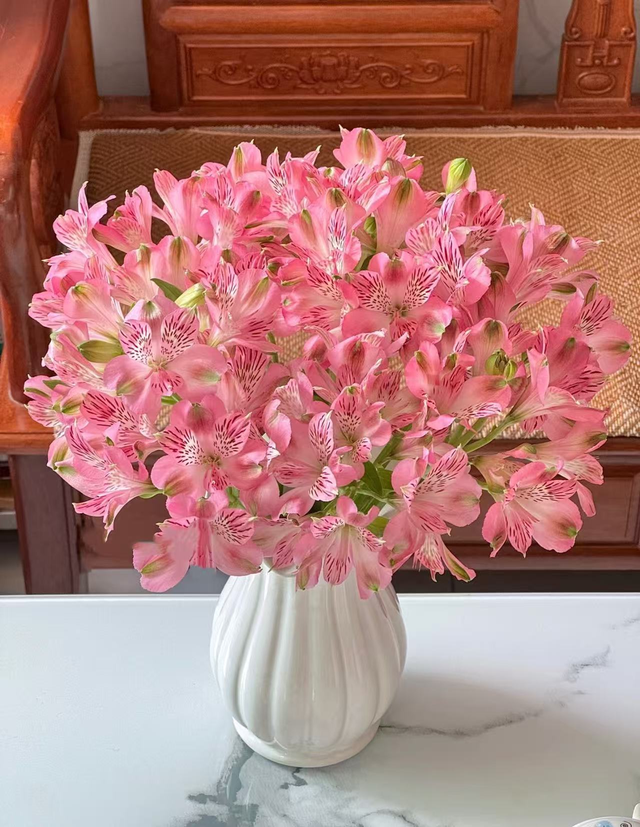 【陌上花开】天使粉六出花-水仙百合