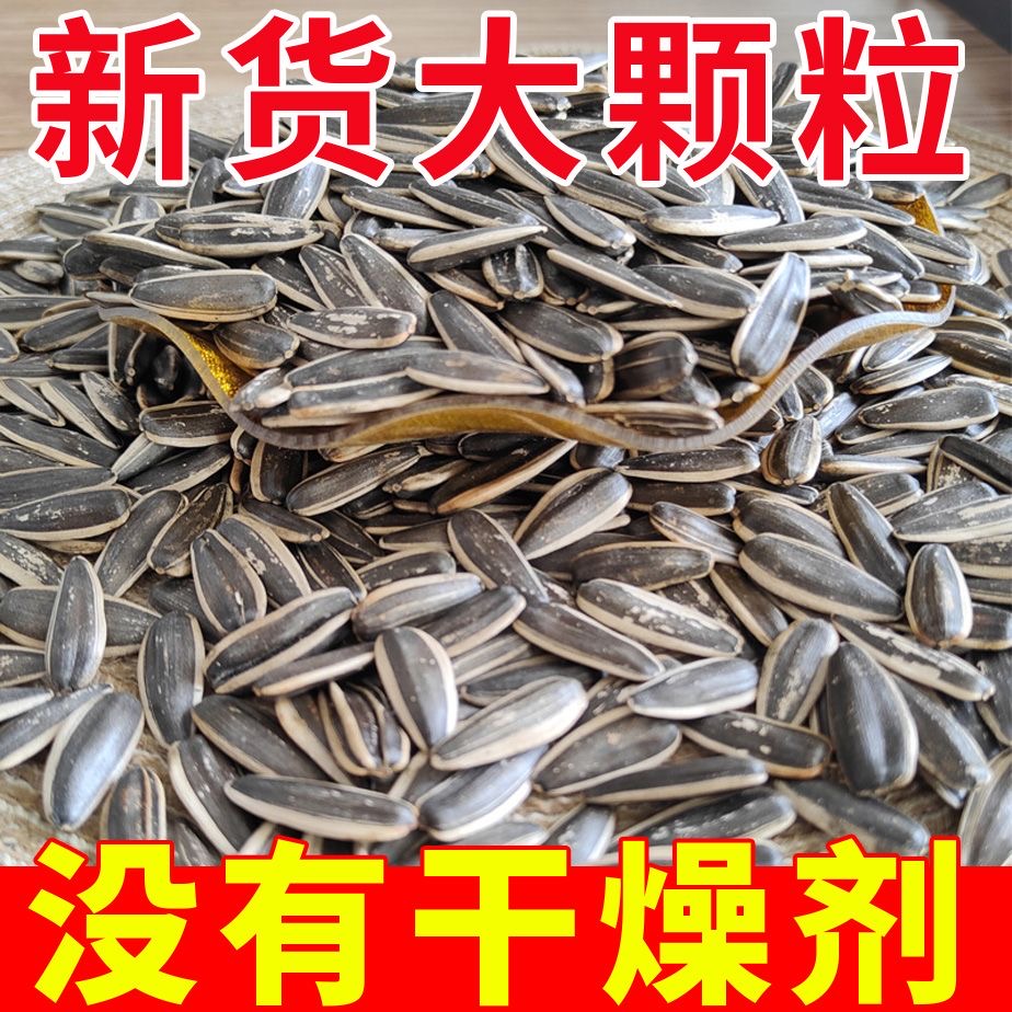 生瓜子大颗粒内蒙古优质新鲜葵花籽解馋零食坚果