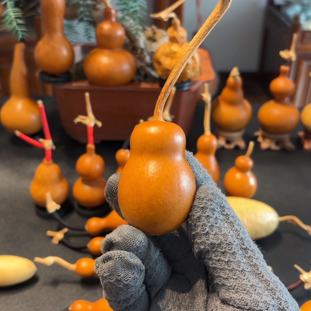 混***吝葫芦8888888888888888888