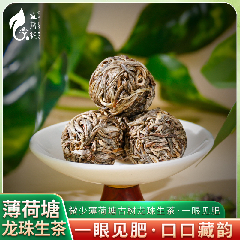 2025年 薄荷塘塔尖龙珠 罐装666克 普洱茶 生茶