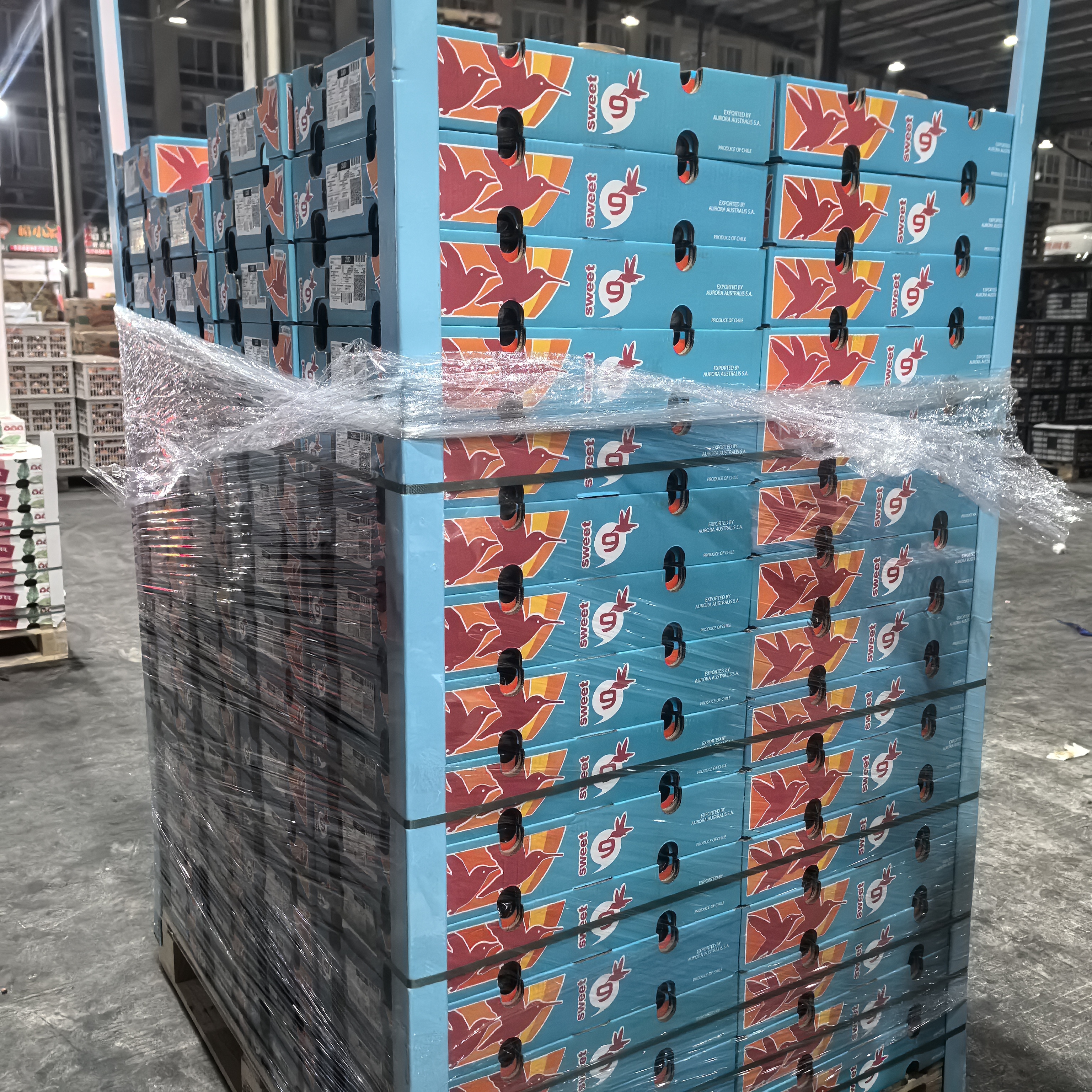 【珊姐优选】智利海运车厘子 冰 5斤装 J-4J 内附果径卡