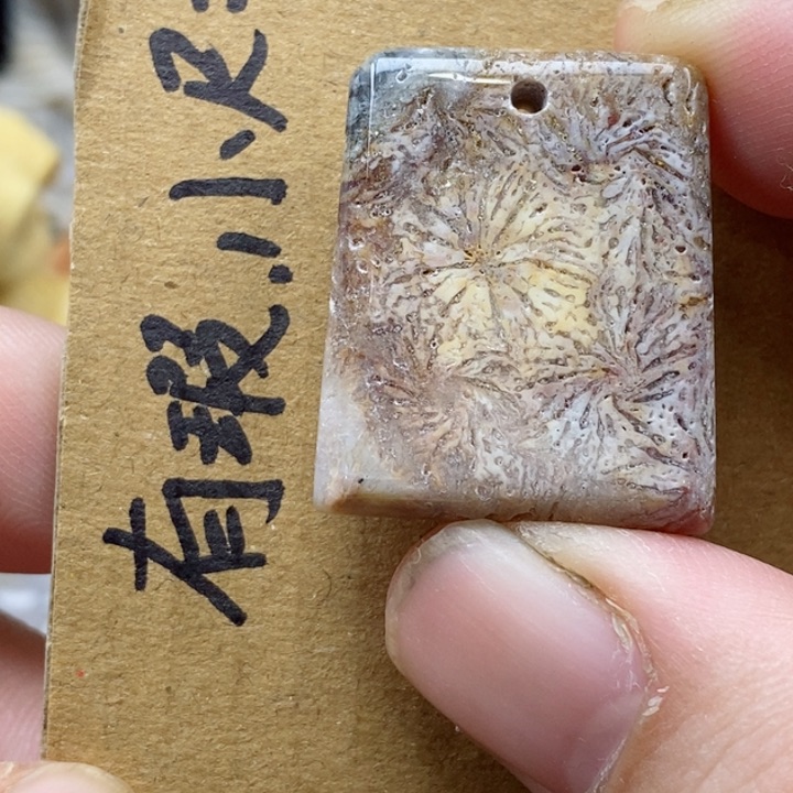 颈饰未镶嵌硅化珊瑚（珊瑚玉）