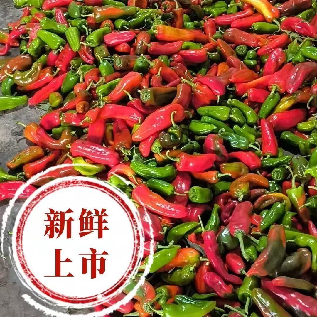（顺丰包邮）花辣椒微辣红辣椒农家辣椒牛角泡椒红绿尖椒现摘批发