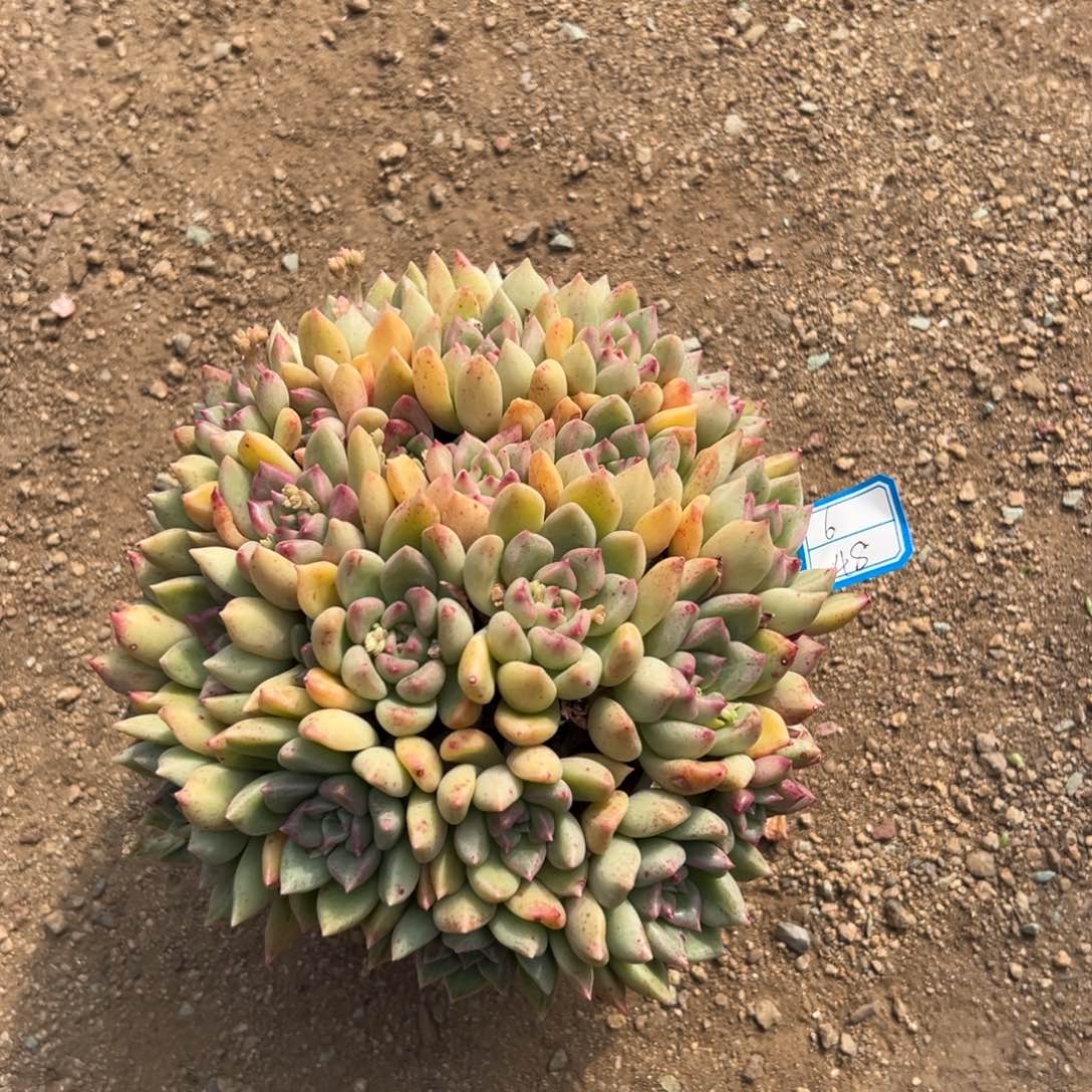 611111111111111111111