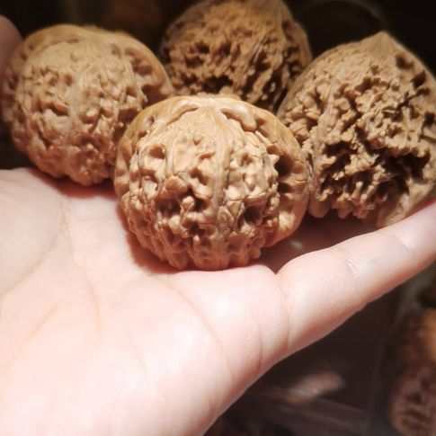 猴头核桃吊坠40二队核桃