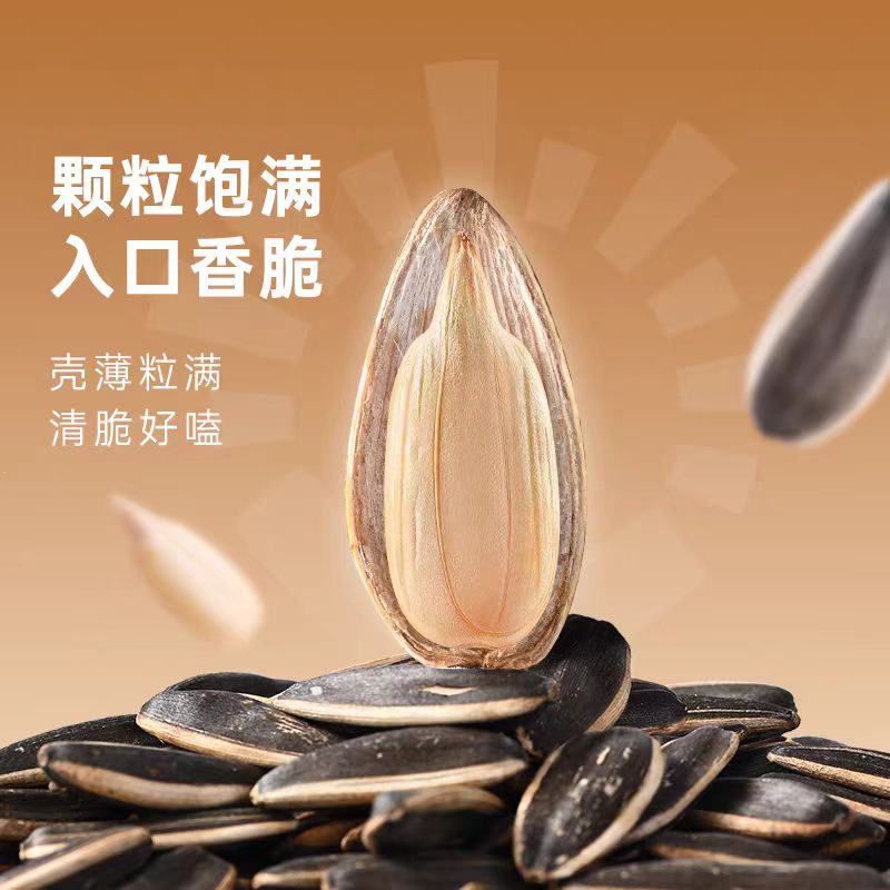 今年新瓜子葵花籽零食休闲原味