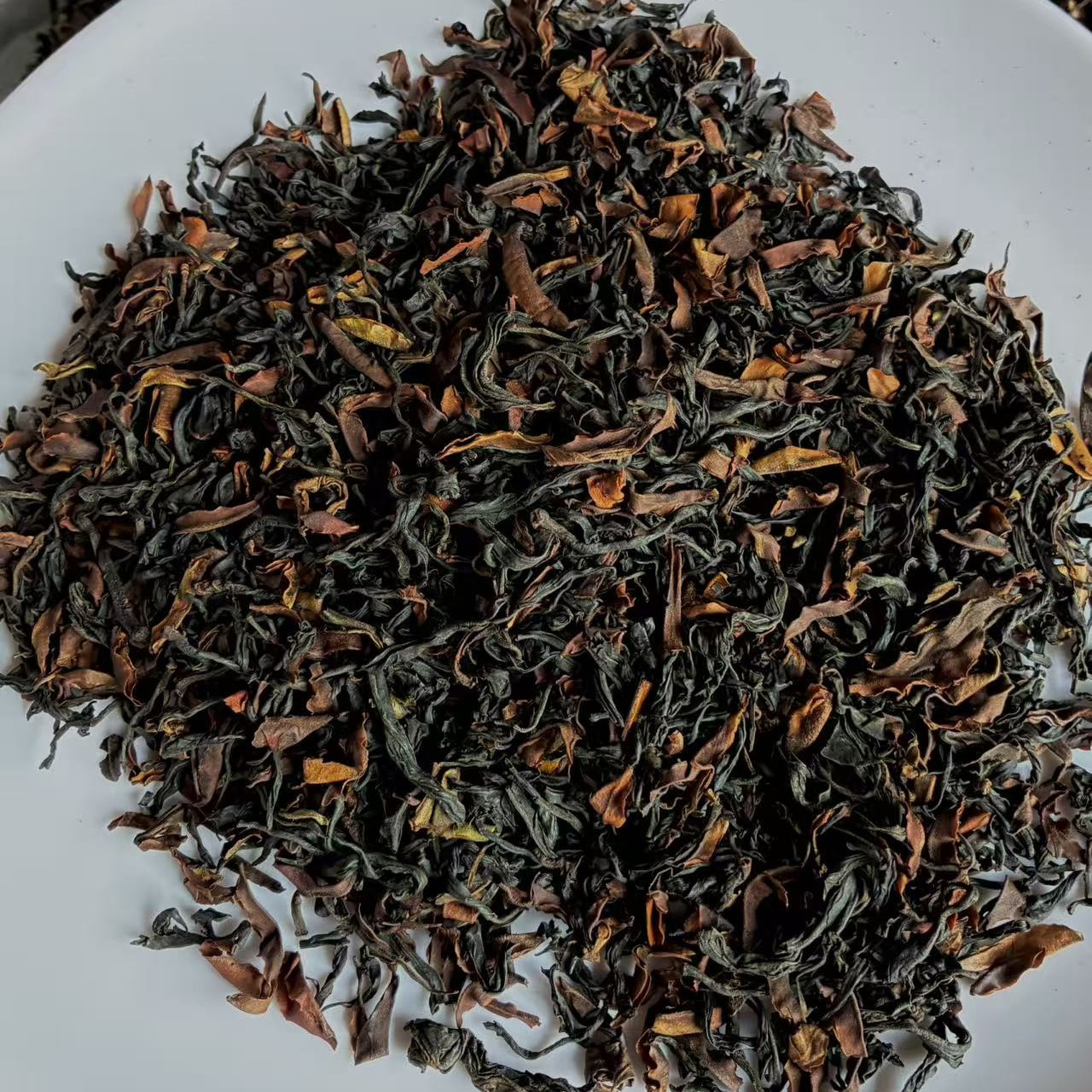 25年头春早采《单株野红》