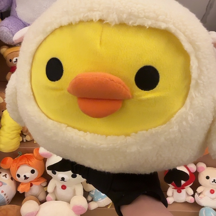 毛绒绵羊鼻孔鸡标瑕