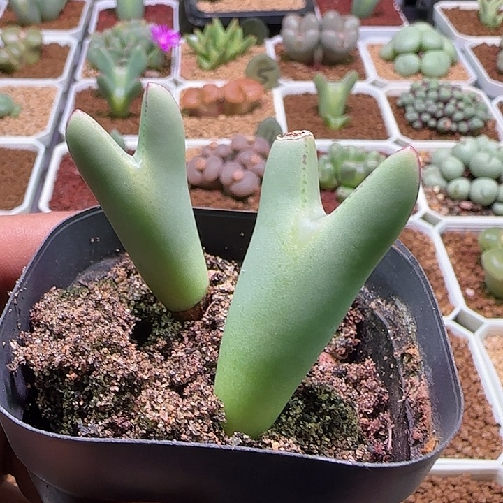 530哈哈哈哈哈哈哈哈