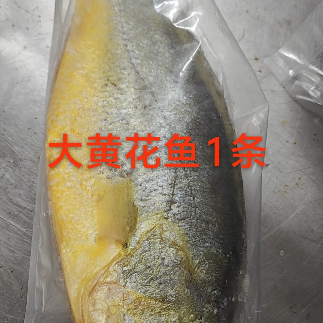源源鲜-大连直发新鲜速冻大黄花鱼 单条1.5-3斤左右 礼品首选顺丰