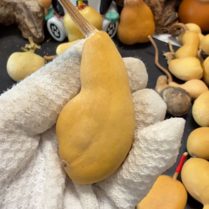 冷***天776777777788888999999