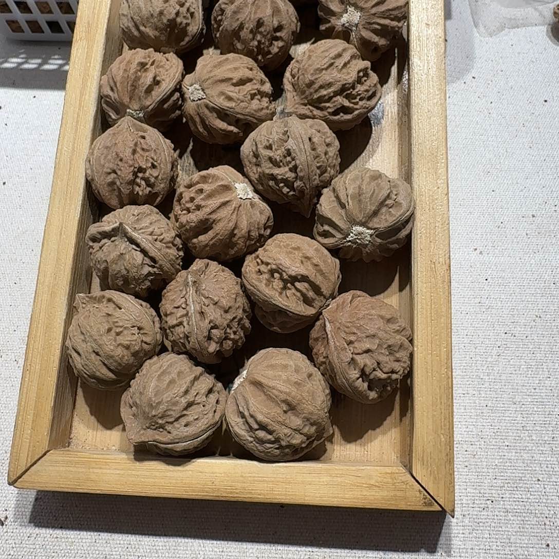 核桃手串/手链107号边28手持