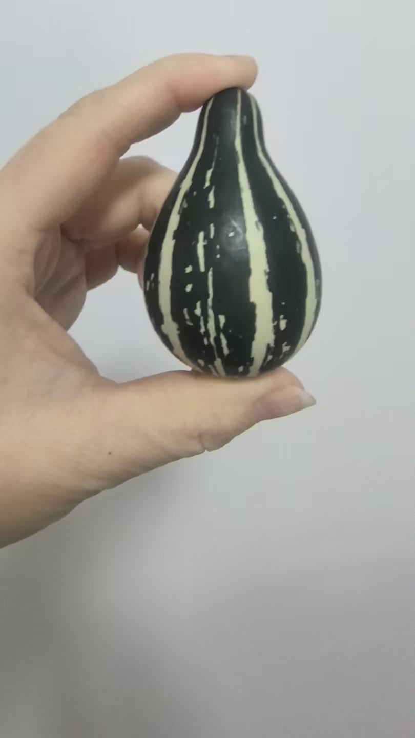 疙瘩葫芦直播一物一拍墨西哥精品七彩小南瓜葫芦