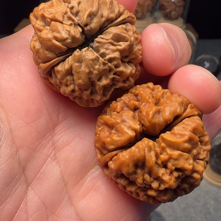 文玩核桃把件舍利子35mm