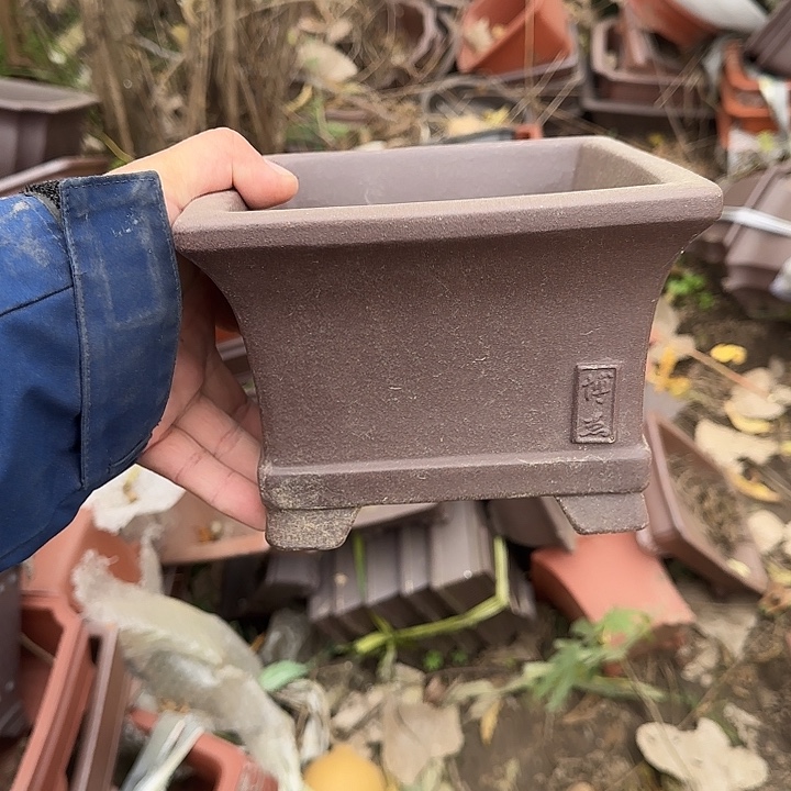 不说你是怎么对我们这些大美女