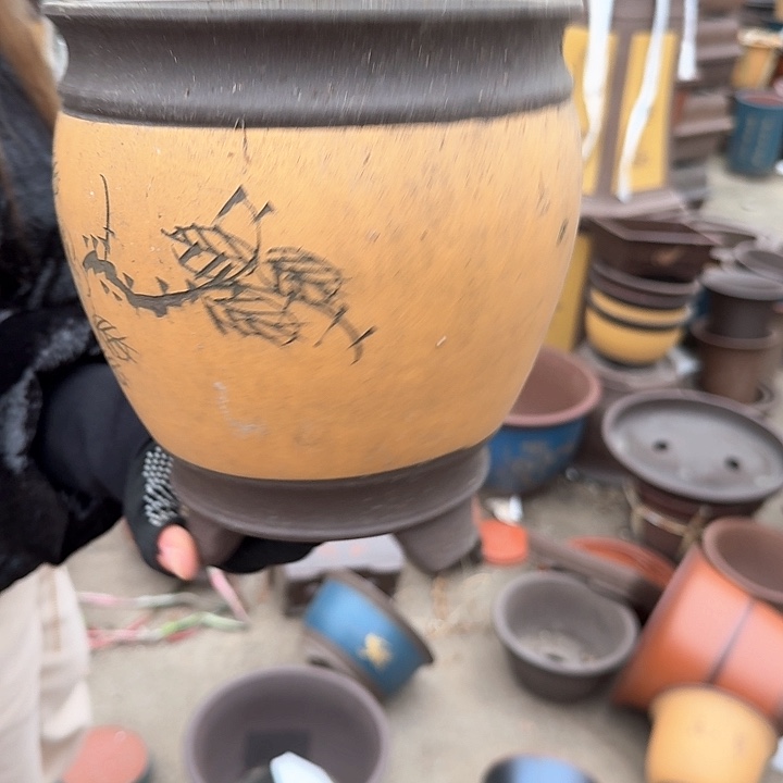 紫砂花盆花盆花盆花盆14