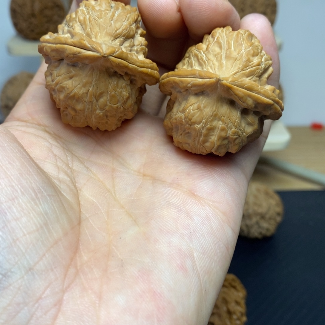 大叶紫檀（黑酸枝木类）38赤龙鸡心