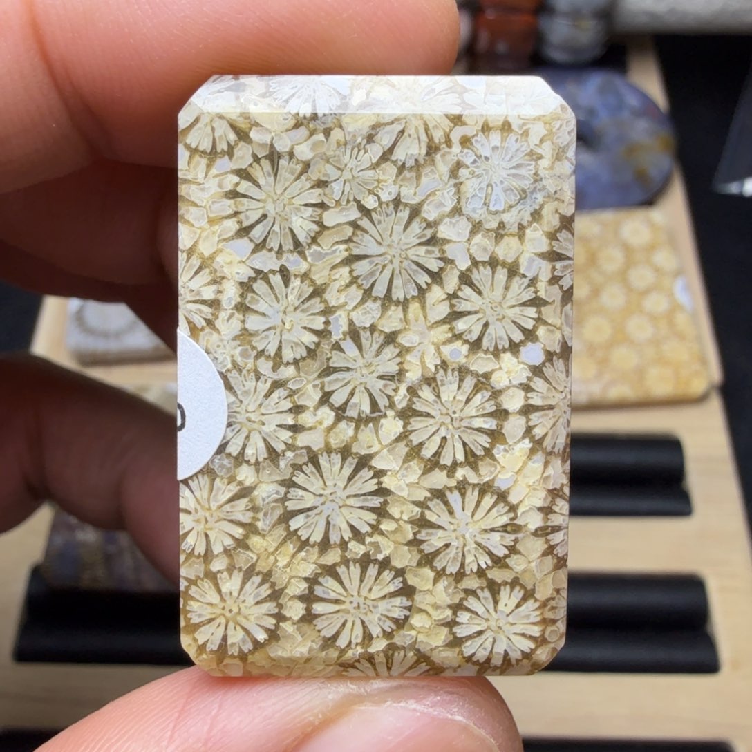 硅化玉未镶嵌纯天然色有机玉石保真色