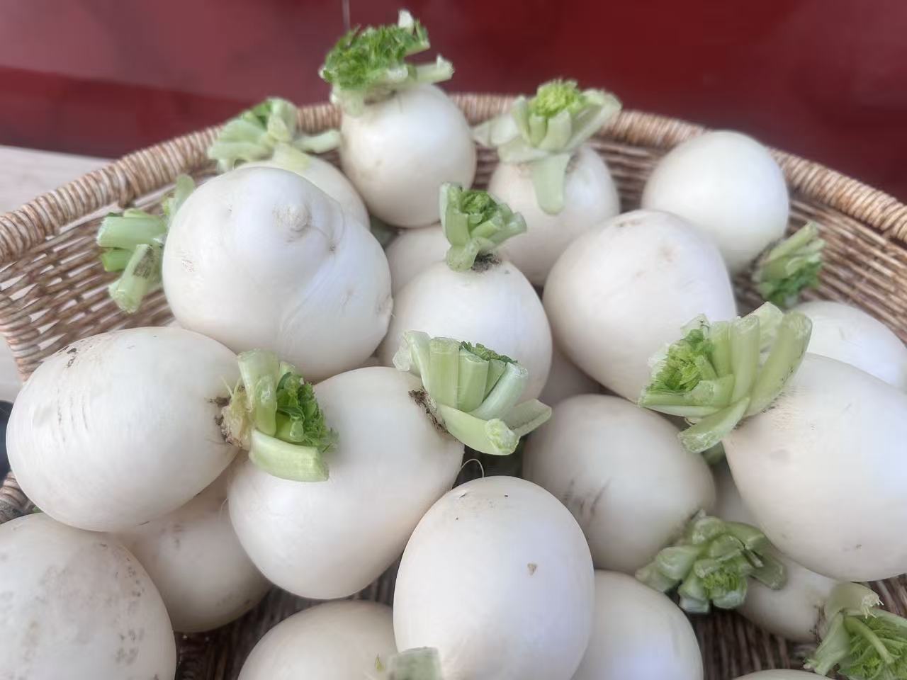 农家特产不老多汁圆根白萝卜新鲜蔬菜