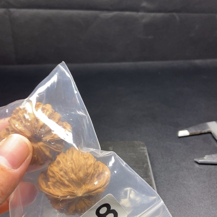 核桃手串/手链全品磨盘