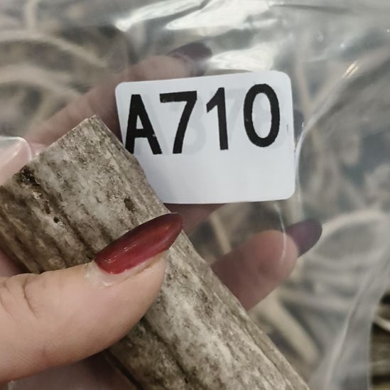 画***人鹿角鹿角鹿角鹿角鹿角鹿角