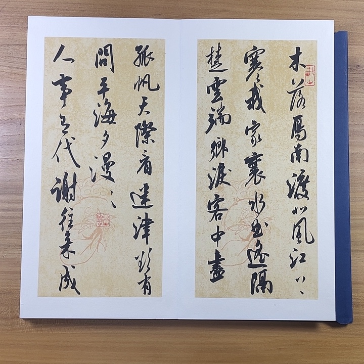 书法中书协会员作品