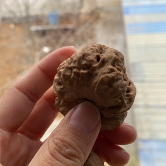 文玩核桃吊坠A***埃43蛤蟆头