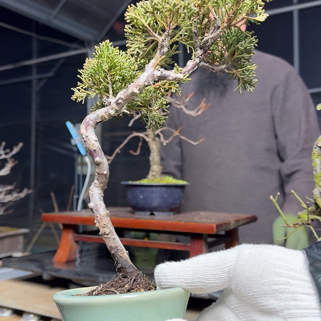 用****哥4顺丰到付