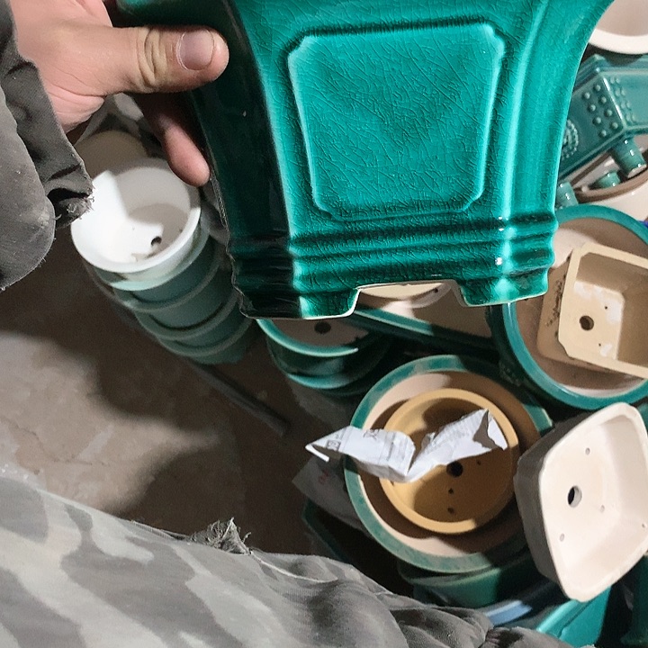 紫砂我要不明天要早起上课