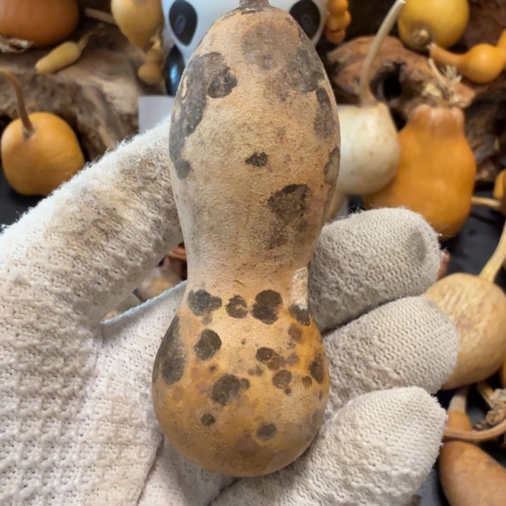 普***r6666666777777777888