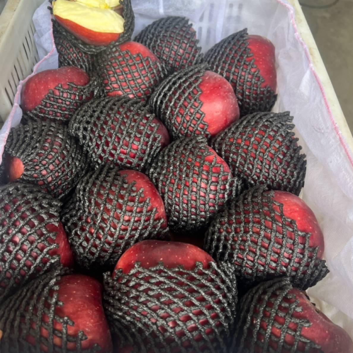 甘肃天水香面甜花牛苹果5斤小时达送货到家甘肃省