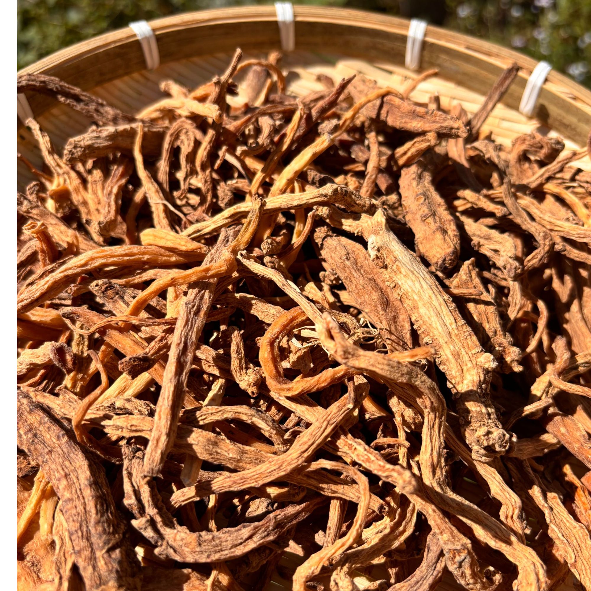 原野土特产   当-森--菇