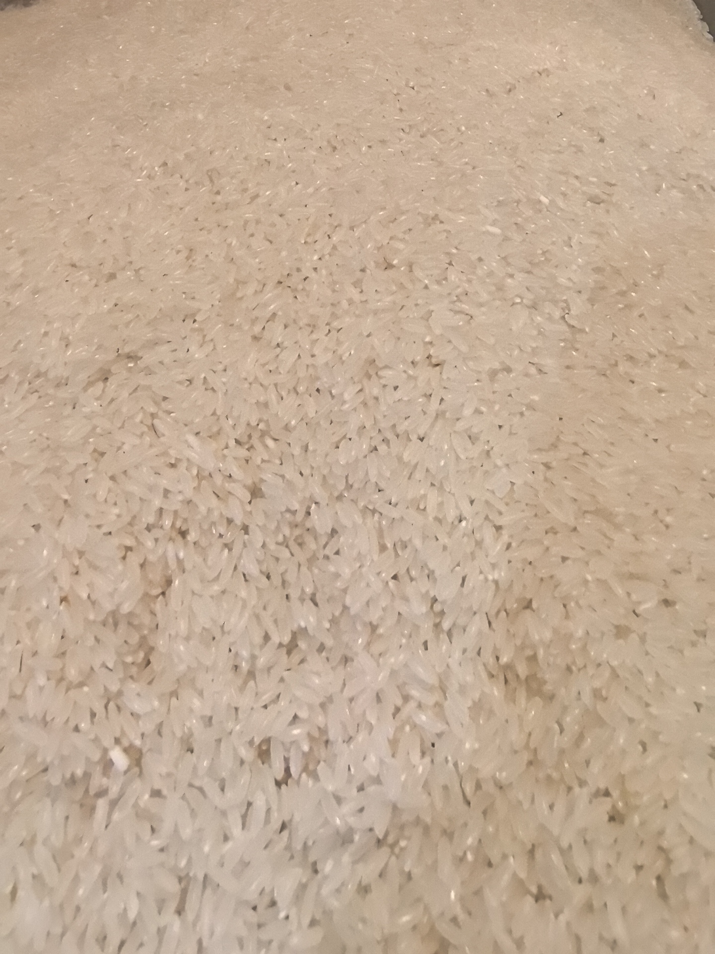 星味佳东北珍珠大米1000