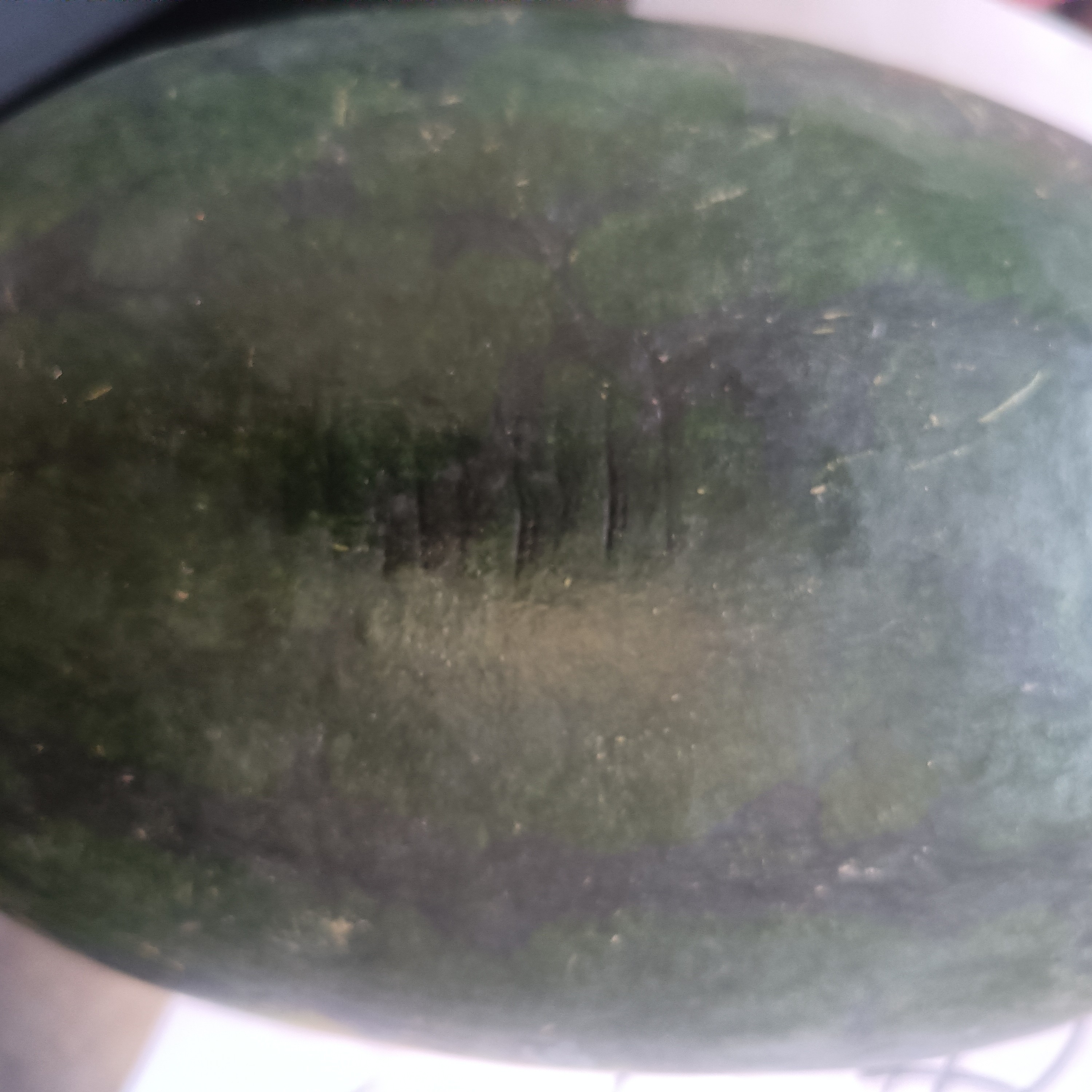 超溥嘎嘎甜黑美人西瓜