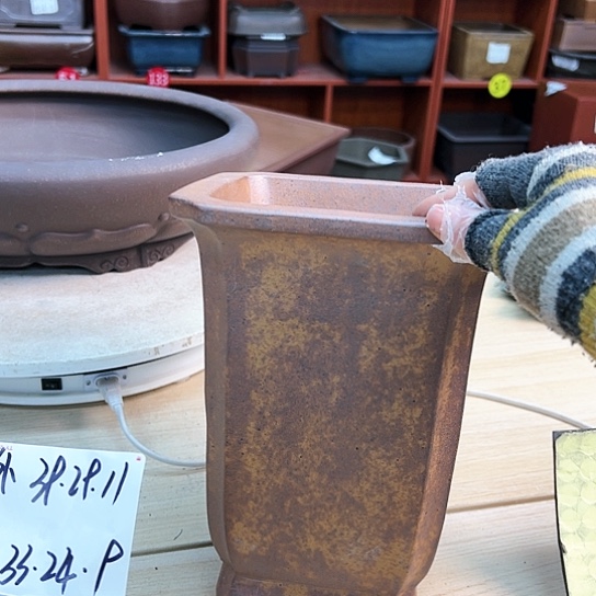 红陶紫砂花盆里放上