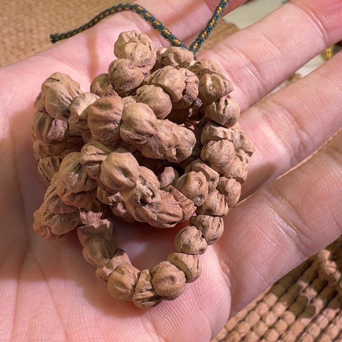 手串柏香籽/百香籽尸陀林大肠