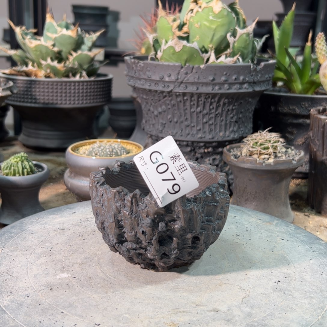 景德镇手工素里内口9高6.5